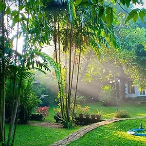 Affittacamere Mango House Japanese